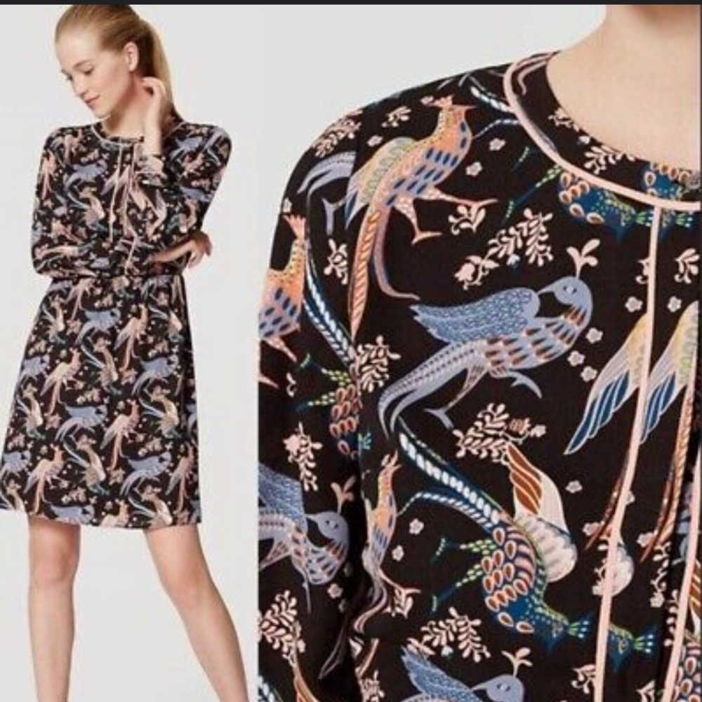 Ann Taylor LOFT | Black Multi Snowbird Peacock Print Shirt Dress Boho - Size: 6